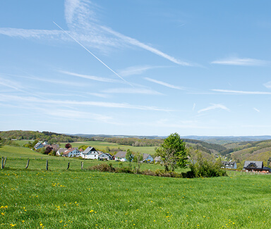 Eine gründe Landschaft mit bebauten Häusern und blauem Himmel