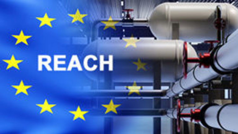 Europäische Flagge mit dem Schriftzug "REACH" vor Pipelines